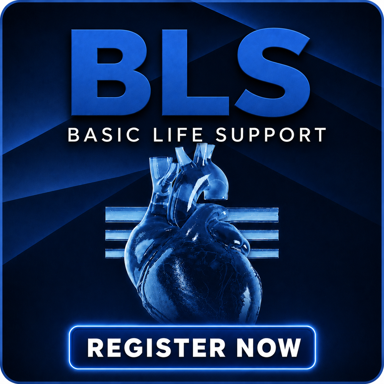 AHA BLS Healthcare Provider Course